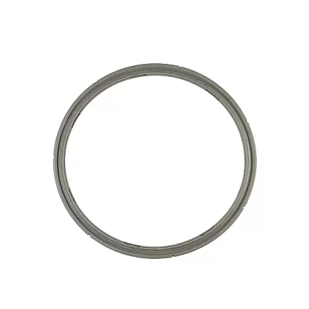 ΛΑΣΤΙΧΟ ΧΥΤΡΑΣ ΣΥΜΒΑΤΟ ΜΕ FISSLER Ν.Τ. 22cm